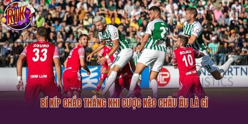 Bí kíp chắc thắng khi cược kèo châu âu là gì