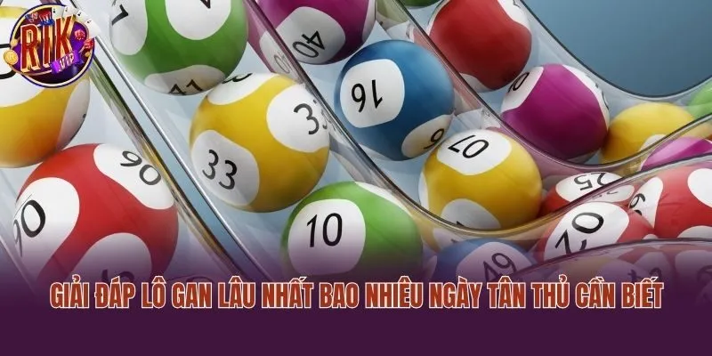 Giải Đáp Lô Gan Lâu Nhất Bao Nhiêu Ngày Tân Thủ Cần Biết