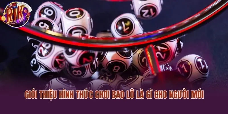 Giới thiệu hình thức chơi bao lô là gì cho người mới