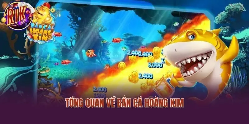 Tổng quan về bắn cá hoàng kim